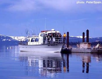 fishing boat at the pier